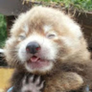 Meet your Posher, Jennie